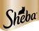 Sheba